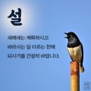 새해복 많이 받으세요 / 사랑합니다 이미지