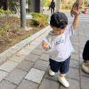 헤이미쉬 | 러브헤이미쉬 구매 후기 (수입공구, 국내공구 - 비비드아이/보니토/소이빈/디세인트)