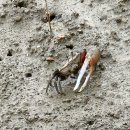 경기둘레길 안산49코스 이미지