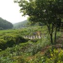 승준농장 이미지