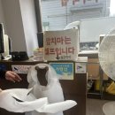 새벽순댓국 | 안산 송호마을 순대국 맛집 “새벽순댓국” 솔직후기 (근방음식점 후기도 포함됨)