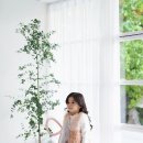 성미사진관