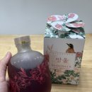 꿀망울
