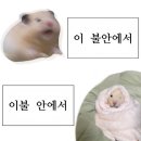 혜건