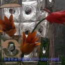 원상상회