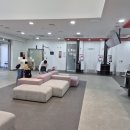 신성카오토서비스 | 롯데렌터카 제주 오토하우스 내돈내산 후기 | 17개월 아기와 제주여행