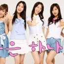 도*환 이미지