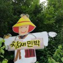 참새민박 Daum카페