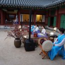 푸른밤소주방