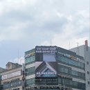 포코러쉬 이미지