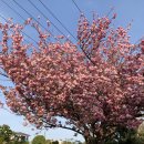 와야1리 경로당 이미지