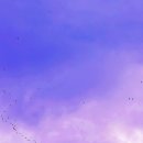 니꼴라오 이미지