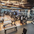 뉴파워짐 이미지