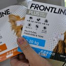 서정부부약국 이미지