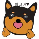 제이브라우니 이미지