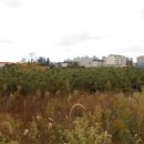 정류소매점 이미지