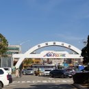 청목화원 | 양재 꽃 시장 | 인테리어 나뭇가지, 꽃가지 구입하기