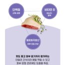 안심제1소교량 | 기호성 폭발하는 강아지수제간식 포펙트 오리안심 100% 휴먼그레이드 수제간식 솔직 후기
