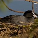 엘림의원 이미지