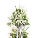 구암동480 이미지