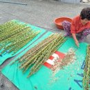 장흥군안양면수문보건진료소 이미지