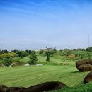 Rainbow Hills 이미지