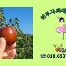 합천황토한우축제 행사장 이미지