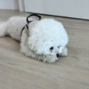 무버랜드