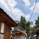 골프매니아기획 | 으네 토마토 팝업 아주 간단한 후기 그리고 개인적인 소회