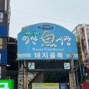 상상길 | [3일차] 마산어시장 + 창동예술촌 + 마조렐 + 낙화유수까지 창원여행 코스