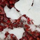 보리수약국 이미지