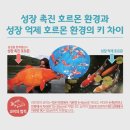 청하한의원 이미지