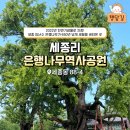 은행나무공원 네이버블로그