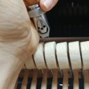 아이러브음악교습소 - 강남구 학동로101길 26 | 아이러브음악교습소