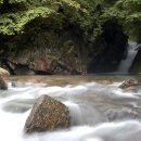 서곡주유소 이미지