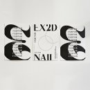 엑시드EX2D네일 이미지