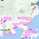 미조 물미항도전망대 | 남해 유채꽃 벚꽃 포토존 14곳 경남 남해 벚꽃 명소 개화시기 만개시기 총정리