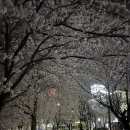 만안저수지 네이버블로그