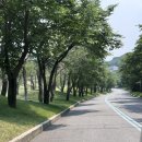 크리크(CREEK) | 포천 베어크리크cc 크리크코스 후기-예약 꿀팁&솔직리뷰
