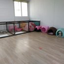 로이네 애견호텔 이미지