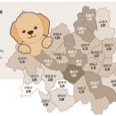 서울애견 이미지