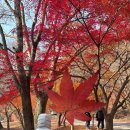 상신경1길 이미지