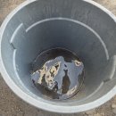 동희산업김천공장 | 김천 공장 에어컨청소 대량작업 후기(스탠드.천장형.벽걸이)