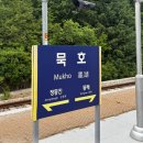 뉴청스튜디오 | [강릉 여행] 극 P 인간의 혼자 여행, 묵호 소품샵 투어 그리고 강릉닭강정 - 2일차의 두 번째