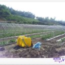 덕재농장 이미지