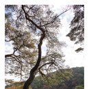 입암서원 앞 이미지