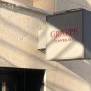 하프의원 이미지