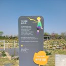 평택-평택-10 | 평택 농업생태원 튤립 실시간 후기🌷 10시 도착했는데 주차 지옥… 오픈런 필수