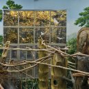 우리할매떡볶이 과천점 | [과천/데이트]_🎡서울대공원; 단풍국 부럽지 않은 단풍나라🍃🍁🍂 | ⭕️꿀팁