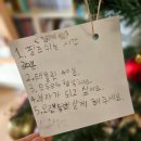 마리텔 | 2025년 크리스마스 기록 &amp; 이은결 마술쇼 <트랙> 관람후기